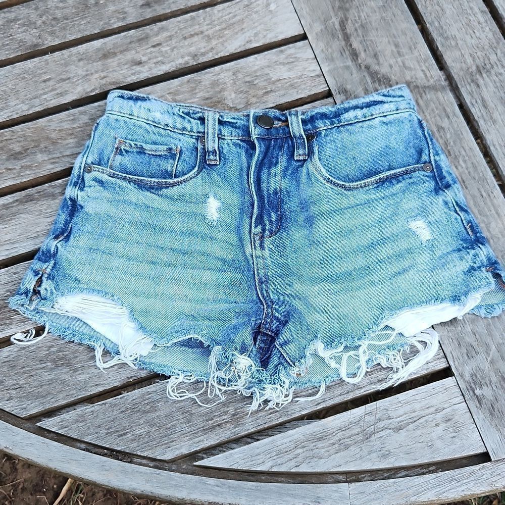 Blank NYC Pin Up High Rise Shorts 24